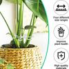Plants Stem Support Plastic Trellis Easy Installation Vine Plants Trellis  Adjustable Reusable Holder Protective Plant Stabilize