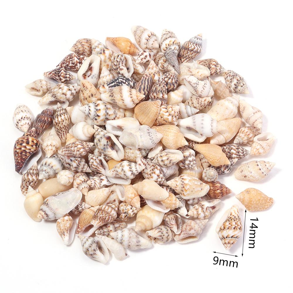 40g/bag Sea Shell Beads Tiny Conch Beads Undrilled Natural Shell Beads For Jewelry Making DIY Crafts Ornament Home Decoration