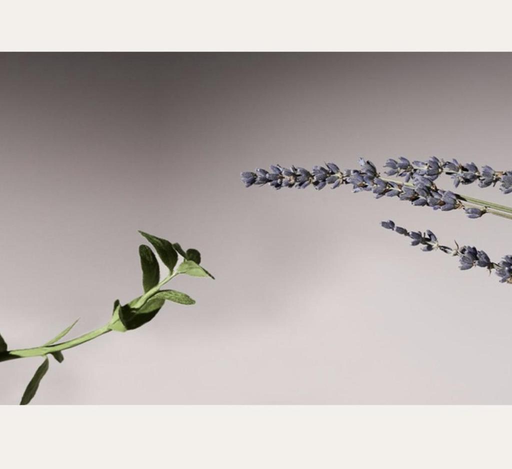 AROMATICA Serene Body Oil Lavender Marjoram Hydrating Softening 100ml