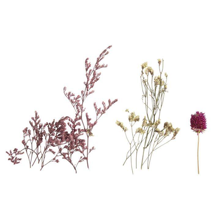 Bouquet of Mini Pink Dried Flowers