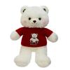 Cartoon Lele Sweater Bear Plush Toys Children's Birthday Gift Doll Exchange for Teddy Bear Sleeping Pillow