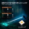 ACEBEAM D20 Diving Underwater and Amphibious LED Diving Depth Beam Distance 2200lm Narrow Powerful Spotlight for Pinpoint Professional Diver IP68