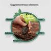 Plant Root Stimulator Promotes Root System Development Seedling Root Strengthener Enhances Vegetable Root Growth