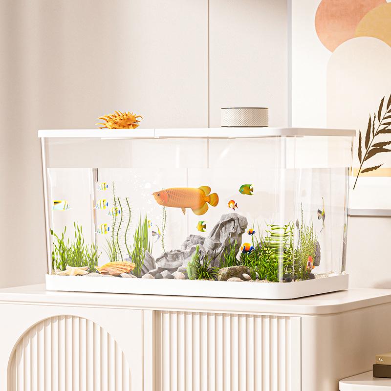 Clear Desktop Fish Tank with Turtle Platform