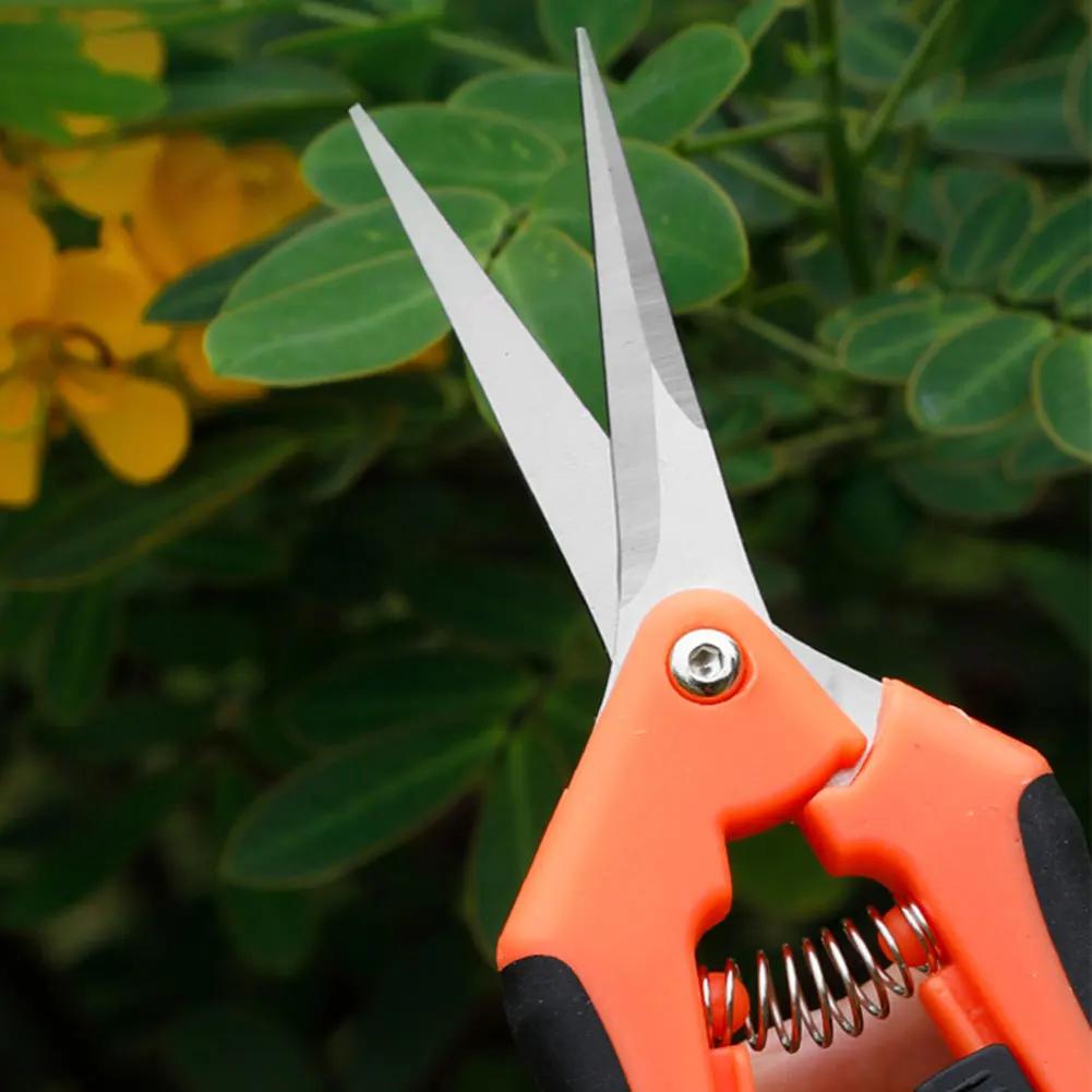 Tuinieren Snoeischaar Tuingereedschap Snoeischaartje Bonsai Tuinschaar Snoeigereedschap Druiven Vruchten Plukken Onkruid Huishoudelijk Potplant