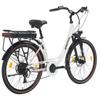 SPATIAL Shiny Electric Bicycle With TowSeat 350W Motor 36V13Ah Battery 26 Inch Tires E-Bike Outdoor Riding Electric Bike For Adult