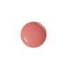 JUNG SAEM MOOL Lip Pressure Metal Serum Gloss (Single/Planned)
