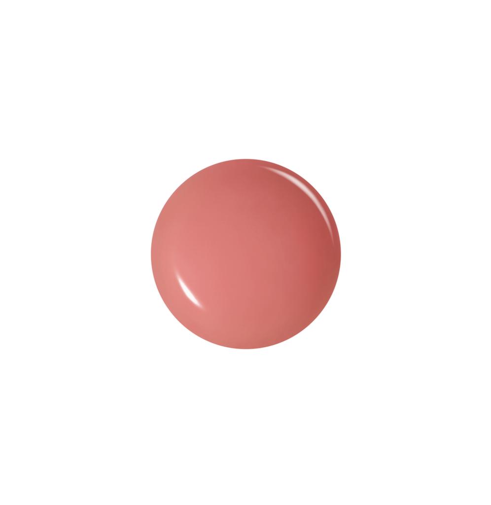 JUNG SAEM MOOL Lip Pressure Metal Serum Gloss (Single/Planned)