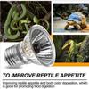 Heat Sunlight Lamp UVA+UVB for Amphibian Reptiles Birds Snakes