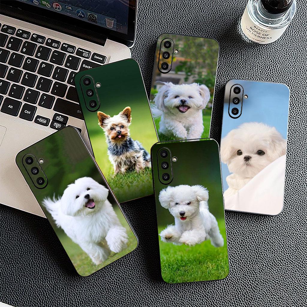 Měkký kryt pro Motorola Moto G86 G14 G35 G34 G45 G55 G64 G75 G85 G24 G15 G54 G57 Power Coque Pouzdro na telefon Pudl Bišonek