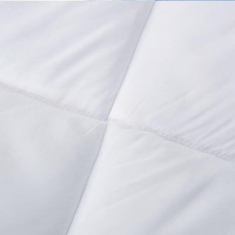 Mengjie Artemisia Argyi Soft Spring Autumn Quilt