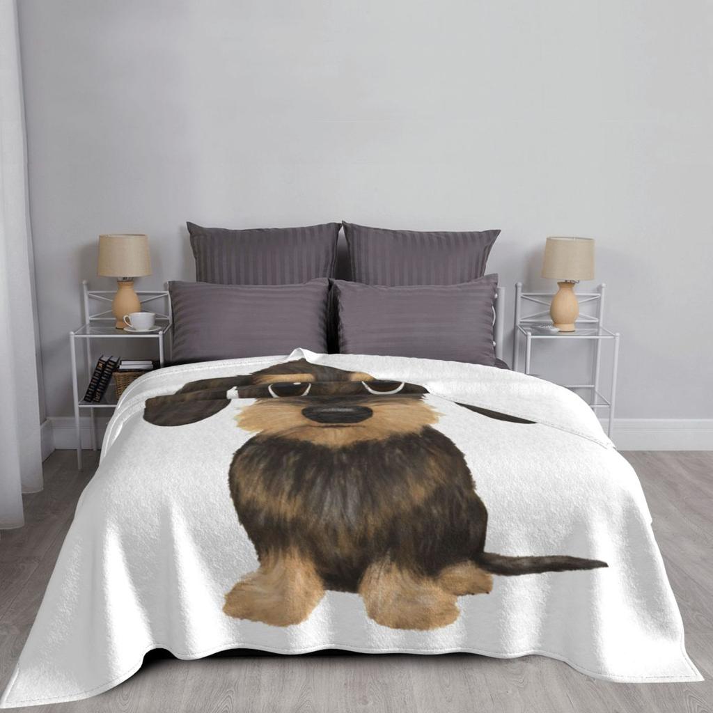 Rauhaardackel Süßer Rauhaardackel Wiener Hund Decken Weiche Flanell Überwurfdecke Abdeckung für Bett Wohnzimmer Picknick Reisen