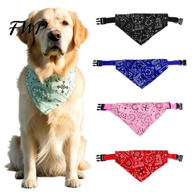 Cani – Collari e guinzagli per cani