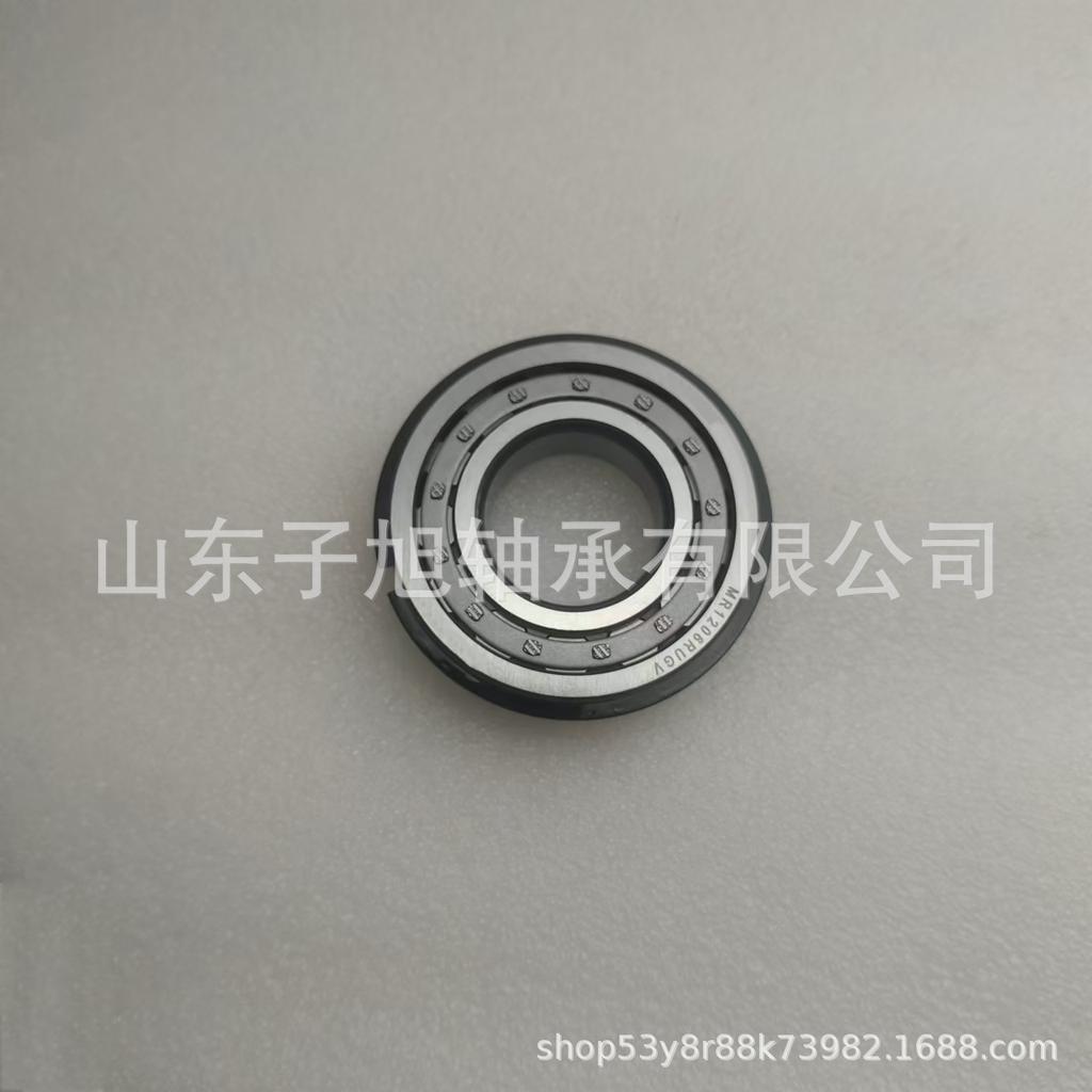 MR1206RUGV Non-Standard Cylindrical Roller Bearing with Shaft Connection, Complete Models Available