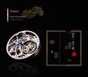 Swiss 18k Gold Tourbillon Men's Automatic Skeleton Watch with Leather Strap