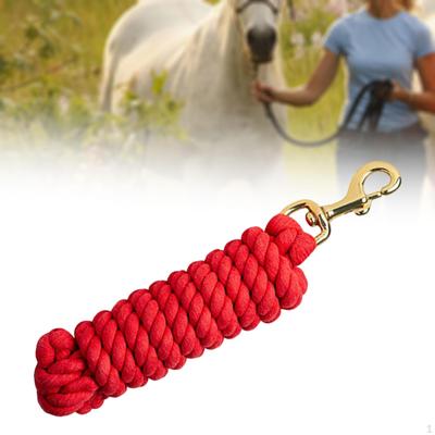 Cani – Collari e guinzagli per cani
