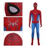 Spider Man 4 Cosplay Costume With Superhero Design For Halloween Party