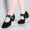 New Arrival Latin Dance Shoes for Women Adult Medium/High Heel Soft Sole Comfortable Practice Dance Shoes for Teachers