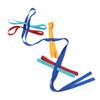 Walking Rope Webbing Material Attractive Colorful Enough Space Fixed Position Preschool Line Rope for Children