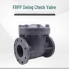 Junlun Industrial Plastic Swing Check Valve CN plug (adapter included)