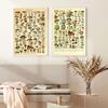 Vintage Vegetable Fruit Botanical Education Poster Mushrooms Chart Drawing Wall Art Canvas Painting for Living Room Decor Quadro