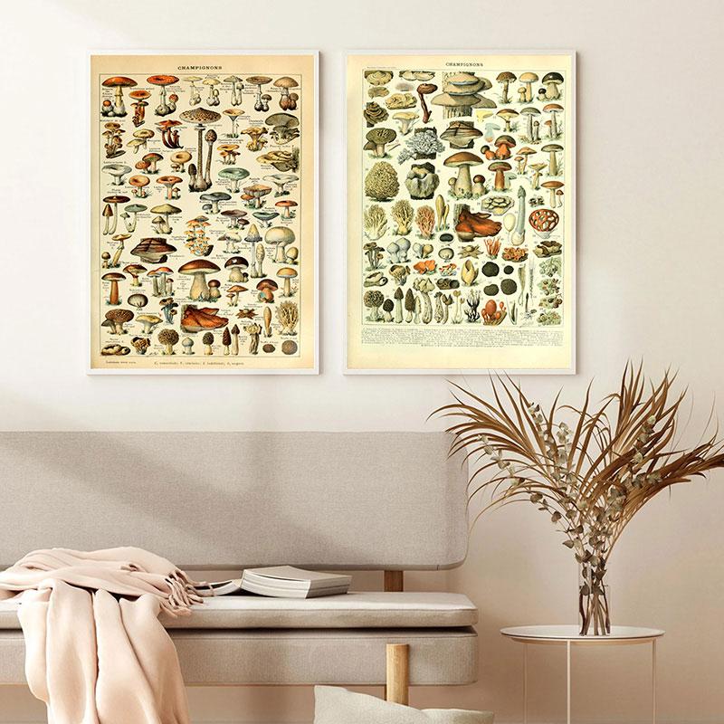 Vintage Vegetable Fruit Botanical Education Poster Mushrooms Chart Drawing Wall Art Canvas Painting for Living Room Decor Quadro
