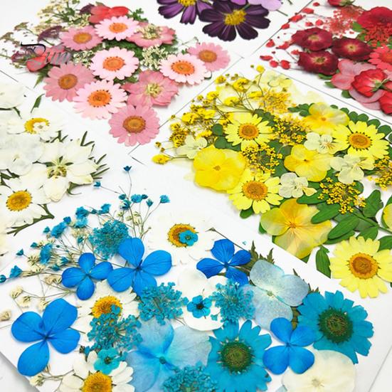DIY Harz Kunst Blumen-Set 1 Set Getrocknete Gepresste Blumen Bunte Natürliche Bastelbedarf Kerzenherstellung Schmuck Epoxidform Vase Nagelkarte Scrapbooking