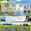 SALUDABLE Pool Fountain Mat, Dog and Child Water Toy, Foldable Water Mat (150cm)