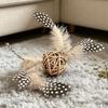 VZZS Rattan Ball Feather Cat Toy Set