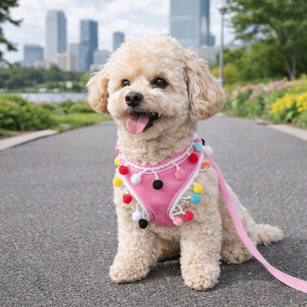Colorful Ball Dog Harness Vest Breathable Mesh Dog Chest Strap Pet Harness Leash Training