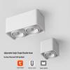 Smart Tuya LED Ceiling Spotlight: Adjustable Single/Double-Head Square Downlight