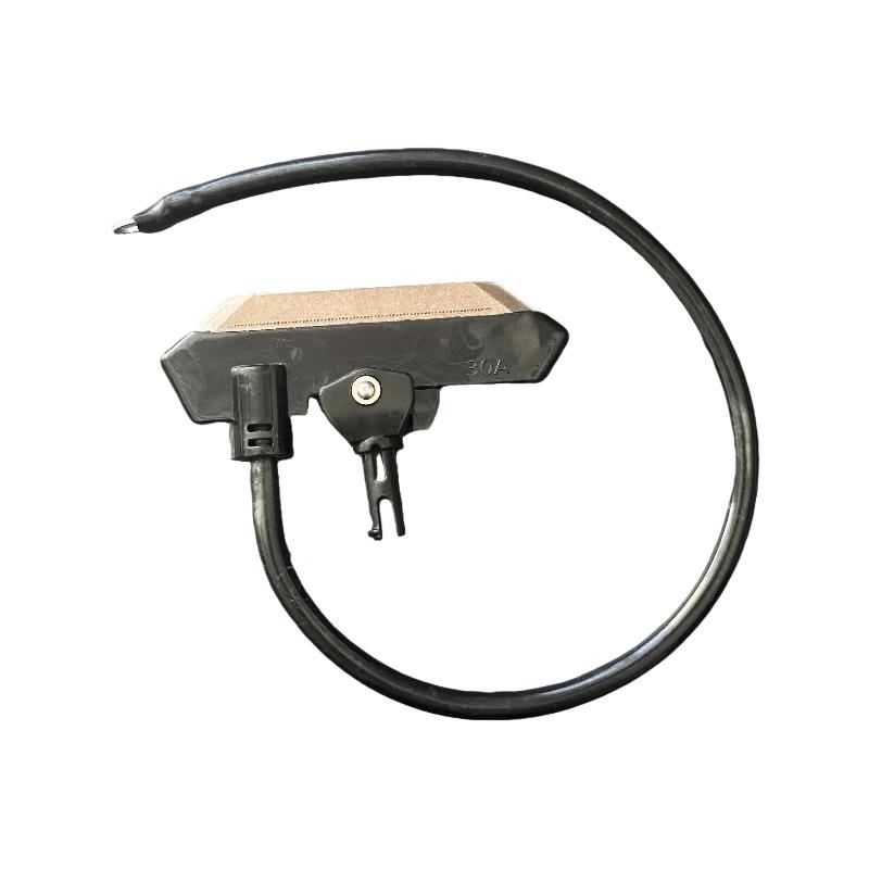 Lixian 30A Flat Carbon Brush