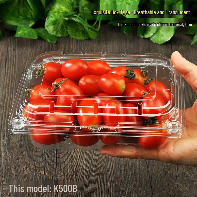 Disposable Round Fruit & Produce Container