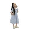 2026 New Girls' Summer Skirt: Super Beautiful Princess Style School Dress