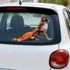 Monkey Stickers Adorable Baby Monkey Window Decal for Car And Glass Surfaces Easy to Install Remove No Residue Vinyl Cute Animal Decoration