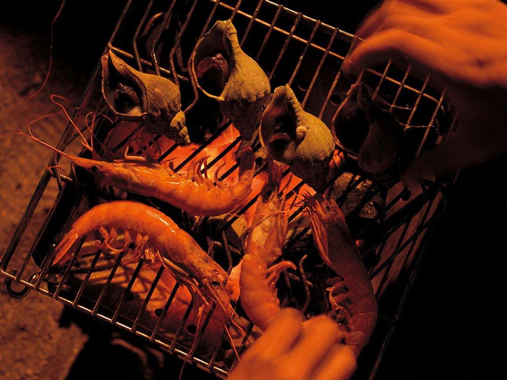 Snow Peak Lagerfeuerstelle Grillrost S [1-2 Personen] ST-031GN