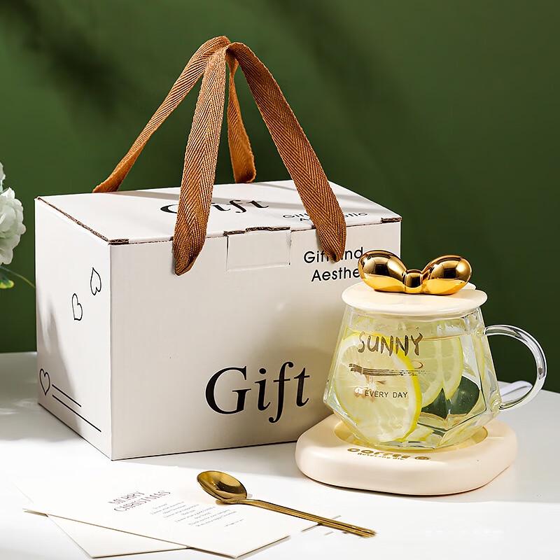 Shangqi 55°C Smart Temperature Control Glass Mug with Night Light Gift Set