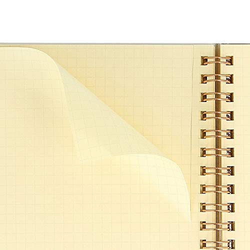 Delfonics Moomin Rollbahn Pocket Memo L, Gift from Moomin Valley (Pink)