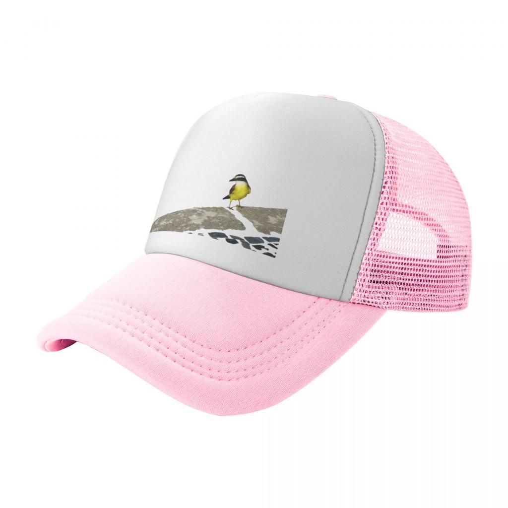 Pitangus sulphuratus  Great kiskadee Baseball Cap Unique hats Luxury Hat Ball  Mens  Womens