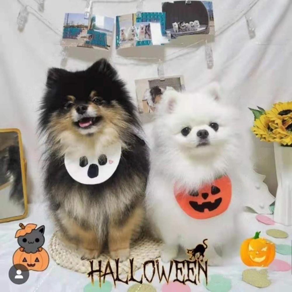 Ghost Pumpkin Dog Scarf Comfortable To Wear Kitty Saliva Towel Lightweight Halloween Pet Bib  Gift