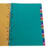 31 Sheets Colorful Folder Dividers Multifunctional  Dividers A 4 File Dividers School Office Supplies for Students