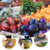 Stainless Steel Onion Holder for Slicing Prongs Rust-Resistant Vegetable Cutter Time-saving Potato Tomato Avocados Eggs Fruit Lemon Meat Assistant