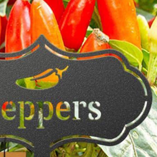 Plant Marker Fashion Tag Bonsai Decor Acrylic Farm Greenhouse Herbal Vegetable Plant Label Garden Decor