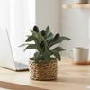 Decorațiuni pentru casă – Flori decorative şi coroane de flori