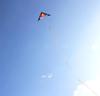 Seven-Color Triangle Flower Kite - Easy To Fly, Large Adult Size, Ideal for Light Breezes