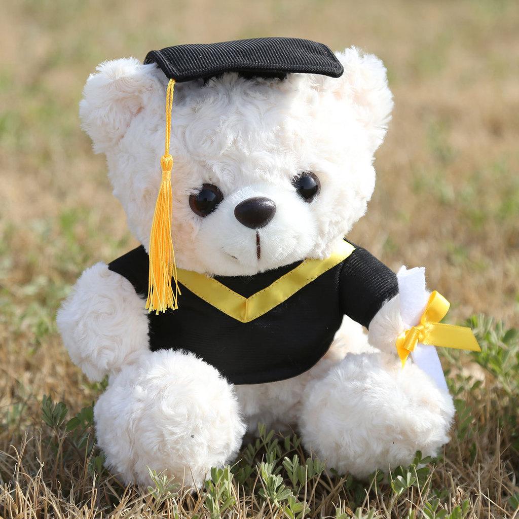 Graduation Teddy Bear Plush Toy With Pp Cotton Filling For Birthday Gift Girls