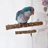 2PCS Bird Perch Stand With Strong Suction Cup For Parrots And Small Bird Indoor Training Exercise Enrichment Accessory