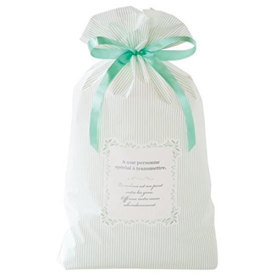 PE Gift Bag with Ribbon Mint stripe-M (20 Pieces) MTS-RBM