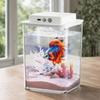 Transparent Betta Fish Tank USB Charging Intelligent Sensing Fish Breeding Tank with Feeding Hole LED Light Figure Display Case