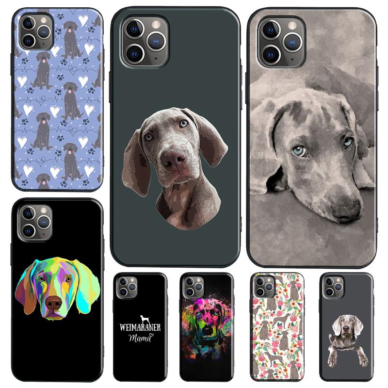 Weimaraner Dog Case For Samsung Galaxy M13 M54 M34 M14 M56 M36 M16 M31 M11 M53 M12 M32 M52 M35 M55 M15 M06